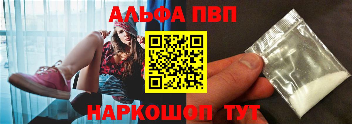Alfa_PVP СК Вышний Волочёк