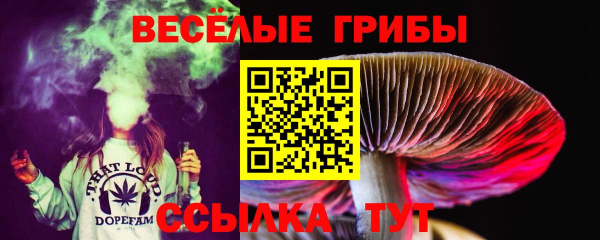 Псилоцибиновые грибы MAGIC MUSHROOMS Вышний Волочёк