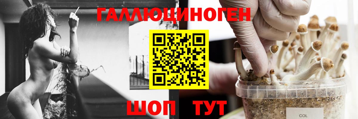 Галлюциногенные грибы мухоморы  Вышний Волочёк 